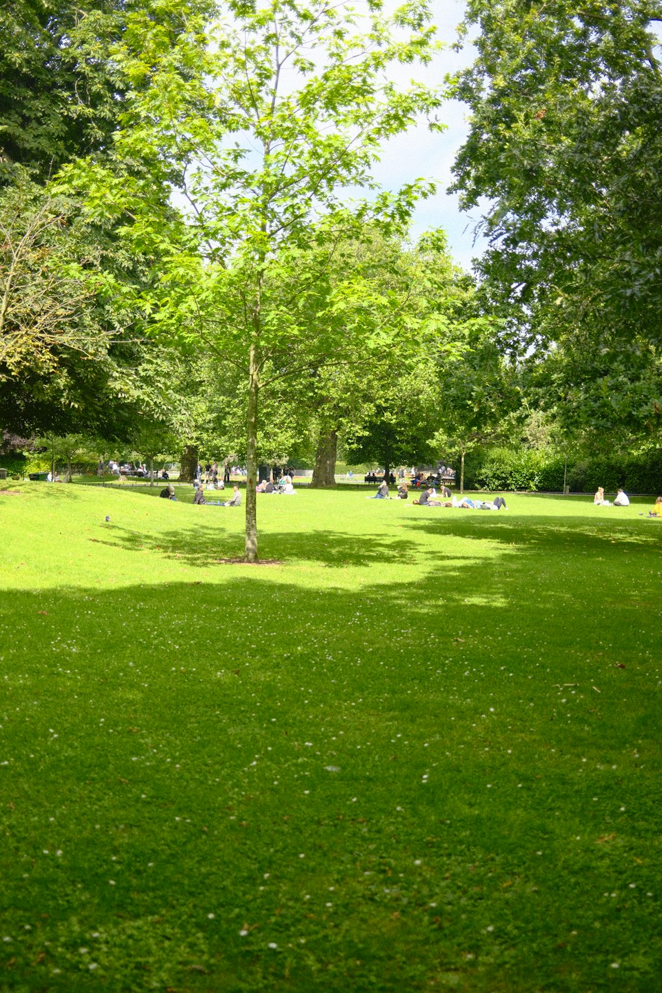 Des gens se détendent sur l'herbe dans un parc ensoleillé.