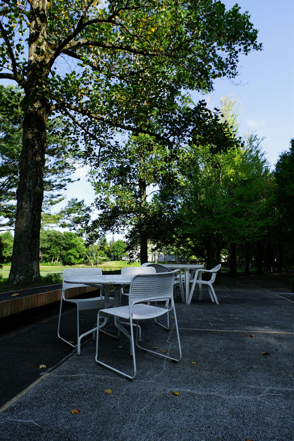 Des tables et des chaises blanches sont installées sous des arbres près d'un étang de parc.